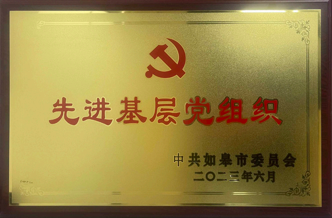 先进基层党组织